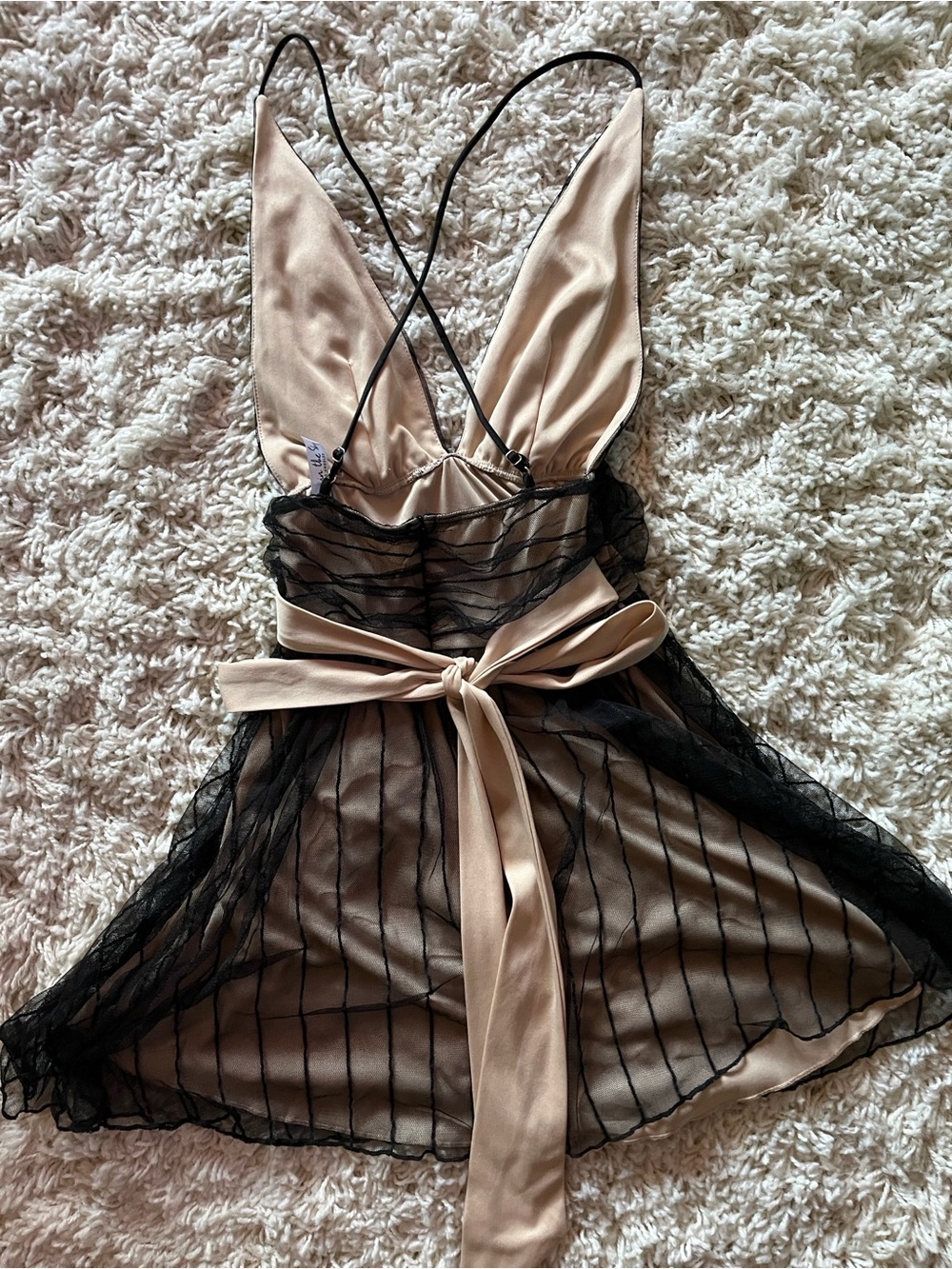 Lucy in the Sky Black Sheer Overlay Dress with Nude Lining - Picture 3 of 4